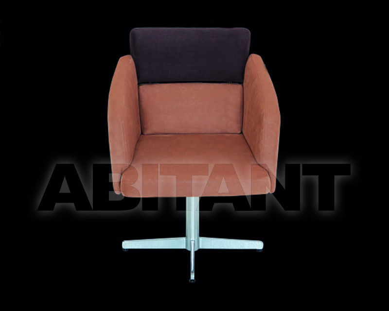 Купить Стул с подлокотниками ADAM DINING IL Loft Chairs & Bar Stools AD01 2