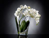 Купить Ваза Tropical VGnewtrend Home Decor 1141378.95
