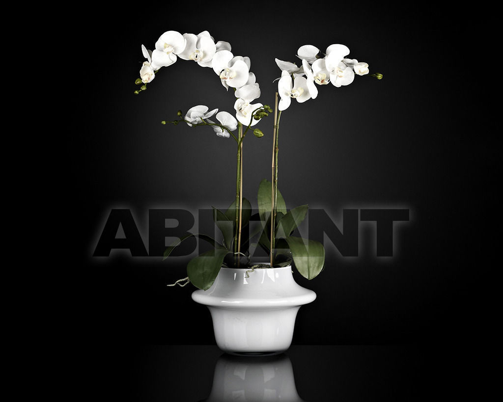 Купить Ваза Atollo VGnewtrend Home Decor 1141262.95