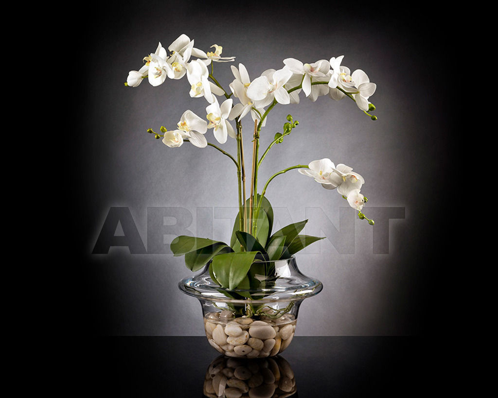 Купить Ваза Phalenopsis VGnewtrend Home Decor 1141374.95