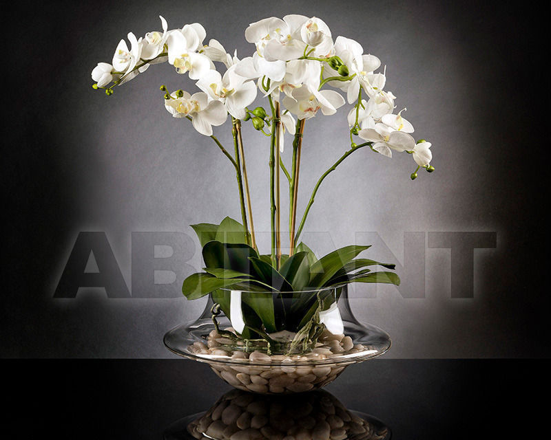 Купить Ваза Phalenopsis VGnewtrend Home Decor 1141375.95