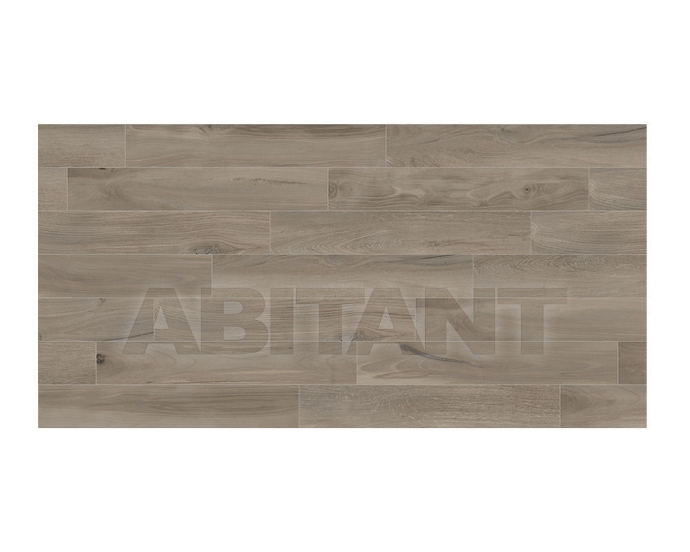 Купить Плитка напольная WOODLANDS Savoia Italia SPA Legni S59225