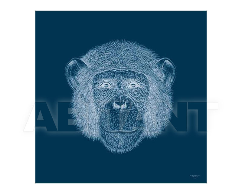 Купить Картина Mio International 2014 Digital Art Chimpanzé2