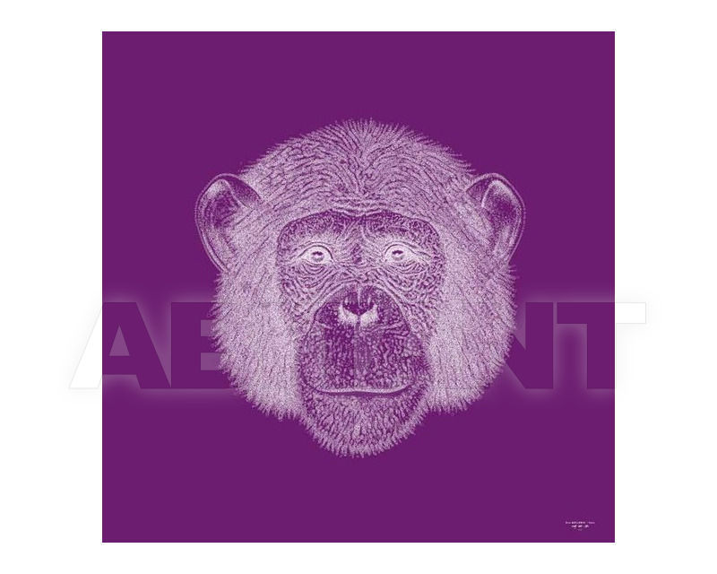 Купить Картина Mio International 2014 Digital Art Chimpanzé 4
