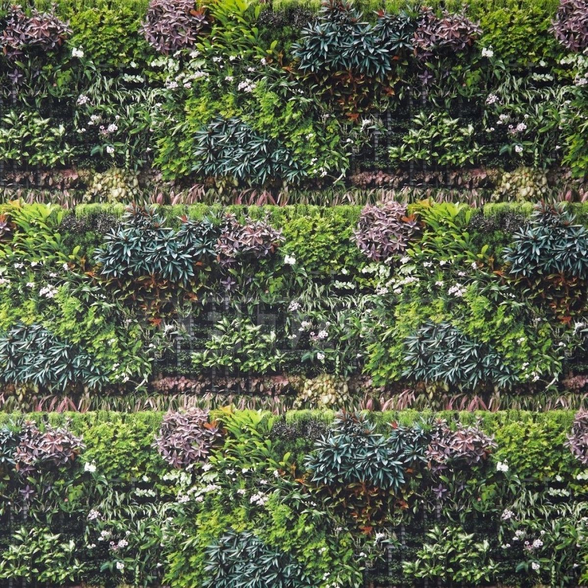 Купить Интерьерная ткань Mur Végétal Caselio Scenario SCE66147073