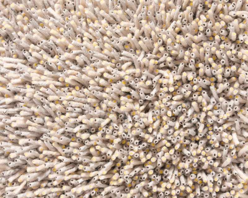 Купить Ковровая дорожка Corale Kvadrat DАNSKINA f-20005-c0122