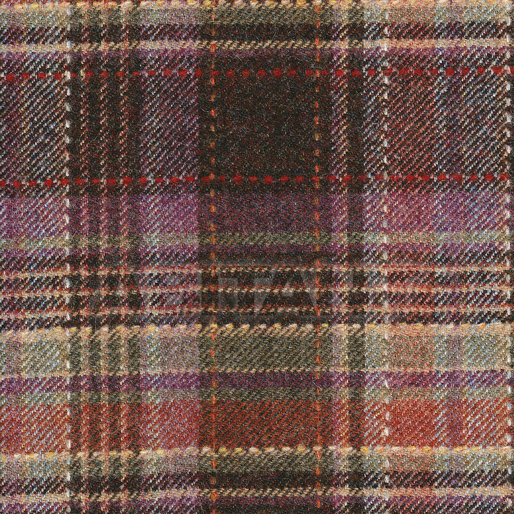 Купить Обивочная ткань Ian Sanderson Oleander DUNCANNON PLAID Blackberry