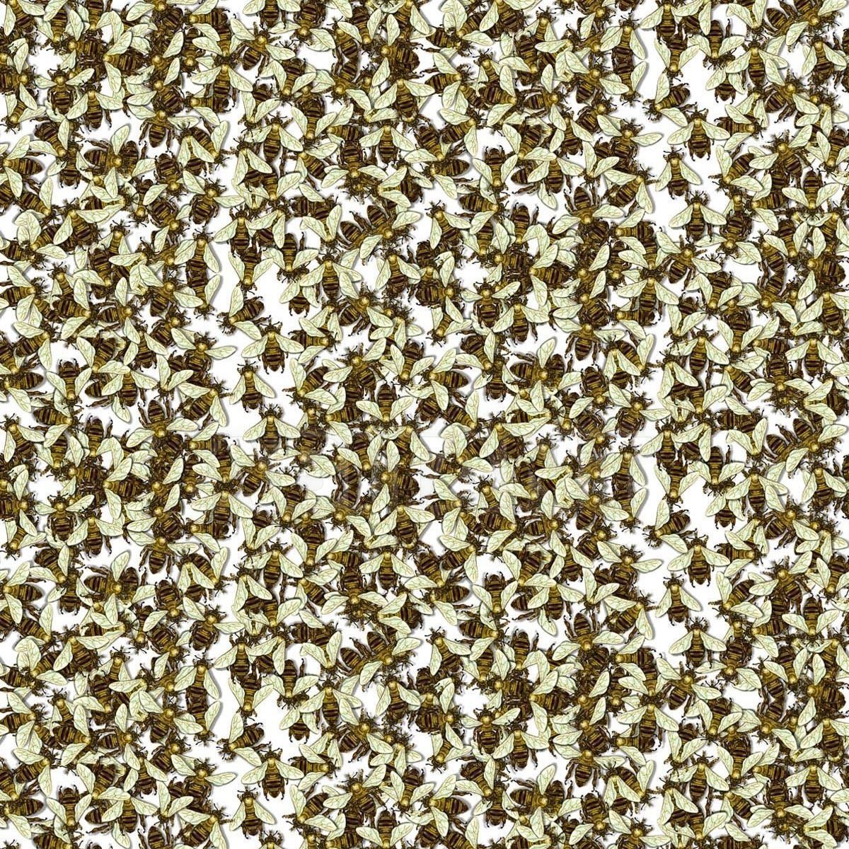 Купить Флизелиновые обои WILD HONEY BEE ALLOVER Timorous beasties Hornbrook wallpaper collection WHB/PRL/01
