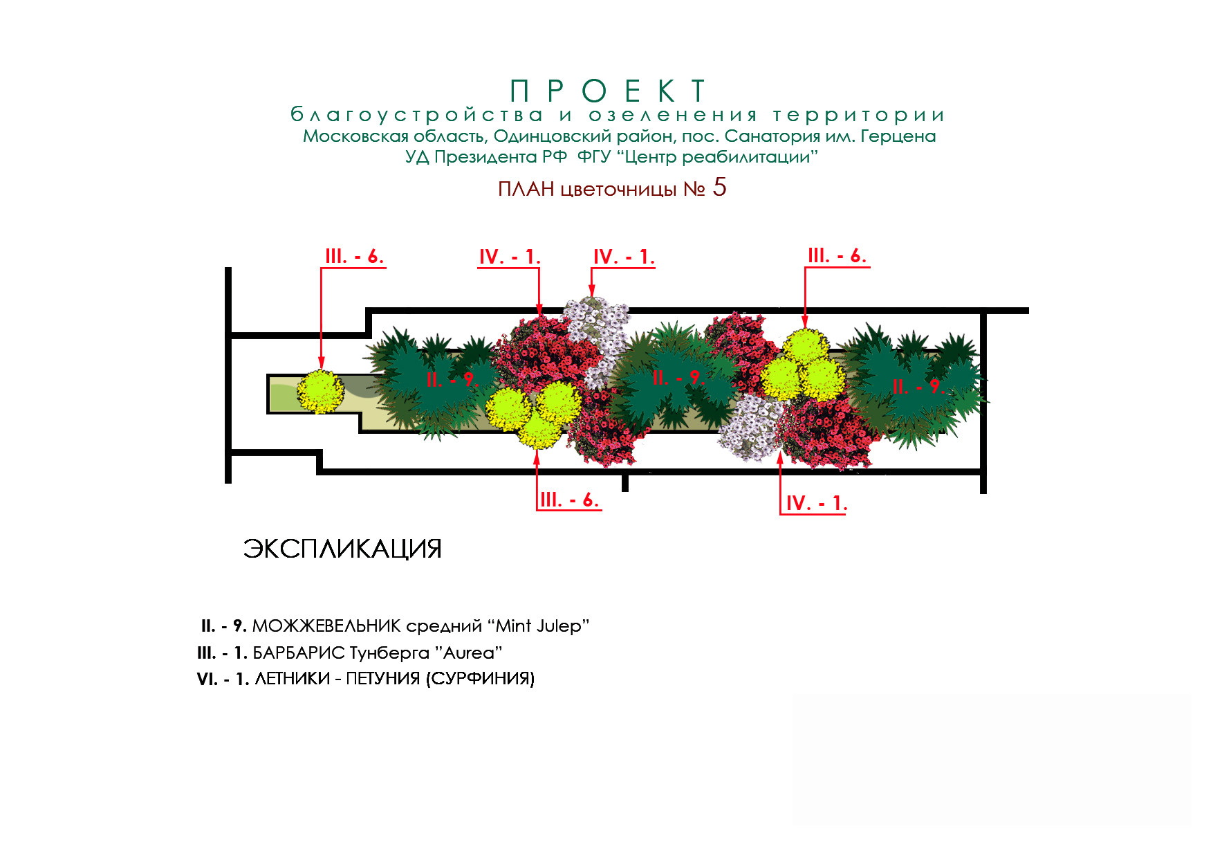 Схема узкой длинной клумбы